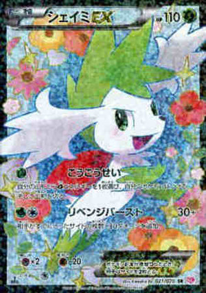 SC / シャイニーコレクション