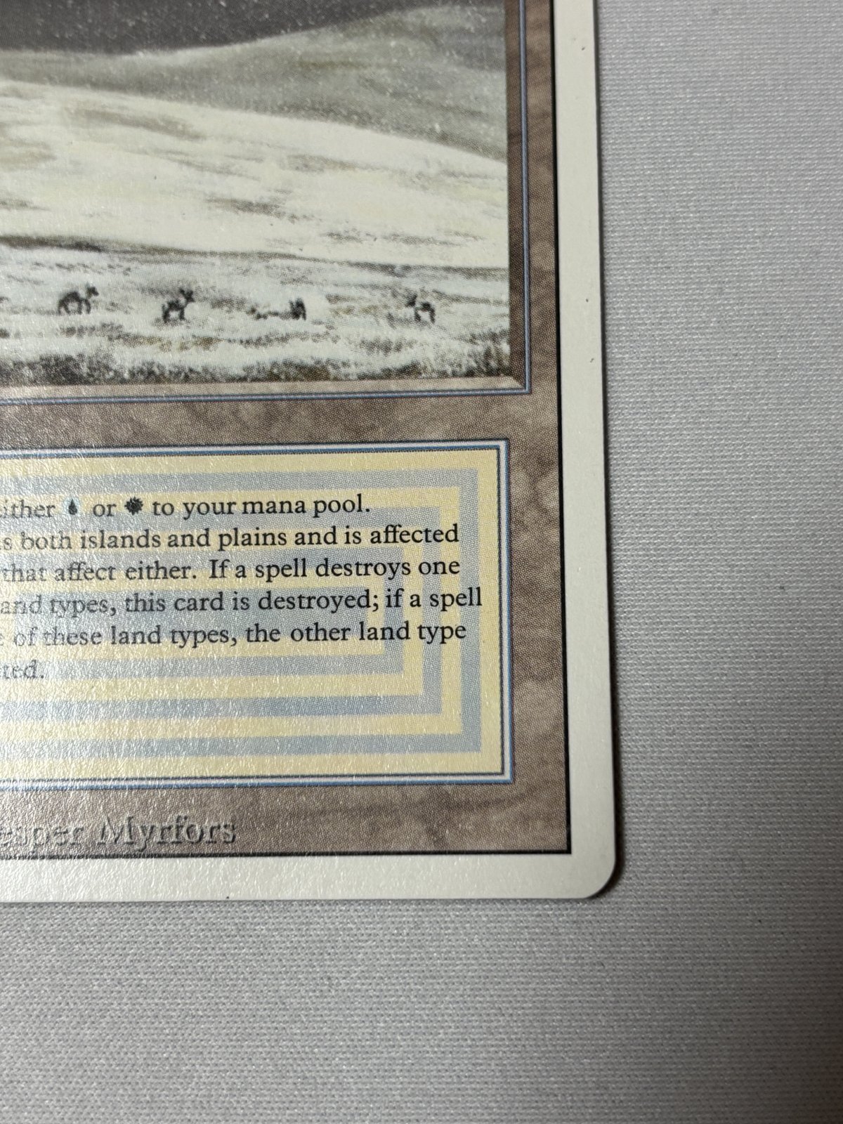 Tundra》[3ED] SP - MTG専門店 Initiative