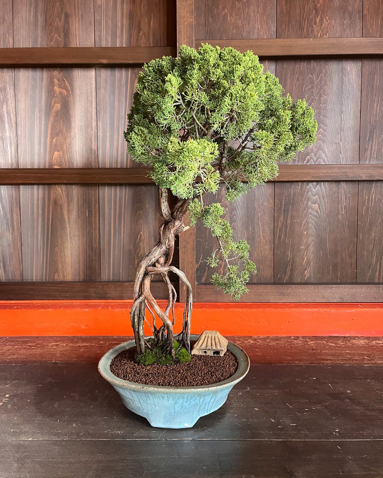 清水焼 KIYOMIZU WARE