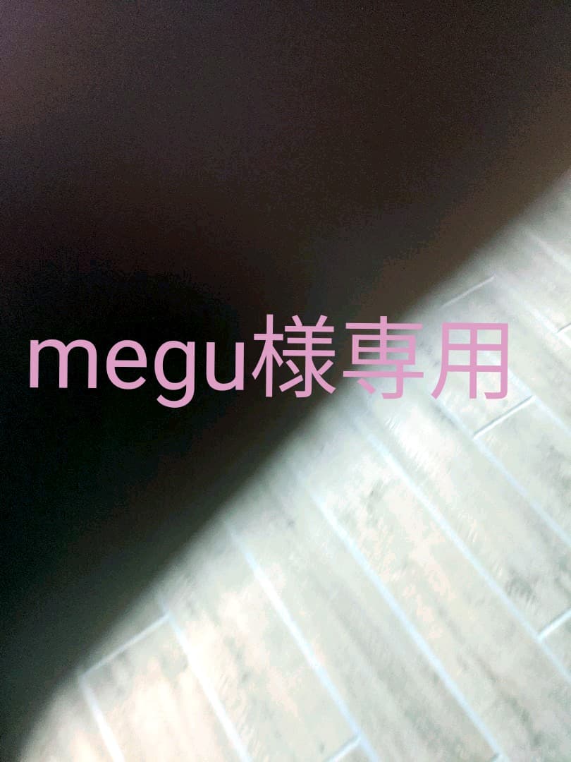 その他 megu 世界初公開 「MEGURO S1」「W230」「KLX230」「Ninja 40周年記念モデル