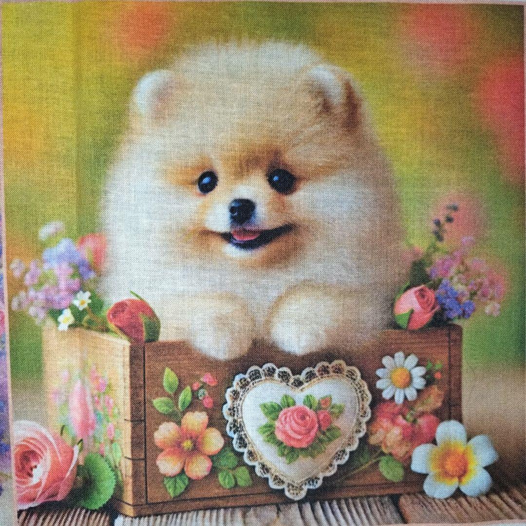 ♡ポメちゃんと可愛いワンコ達のオーダーページです✨